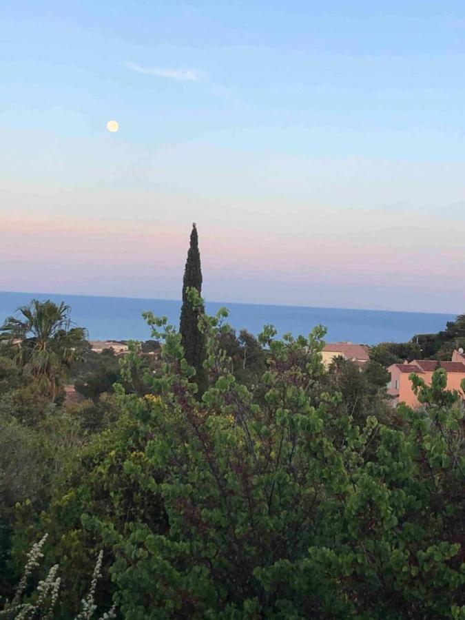 Rez De Avec Jardin Vue Villa Fréjus