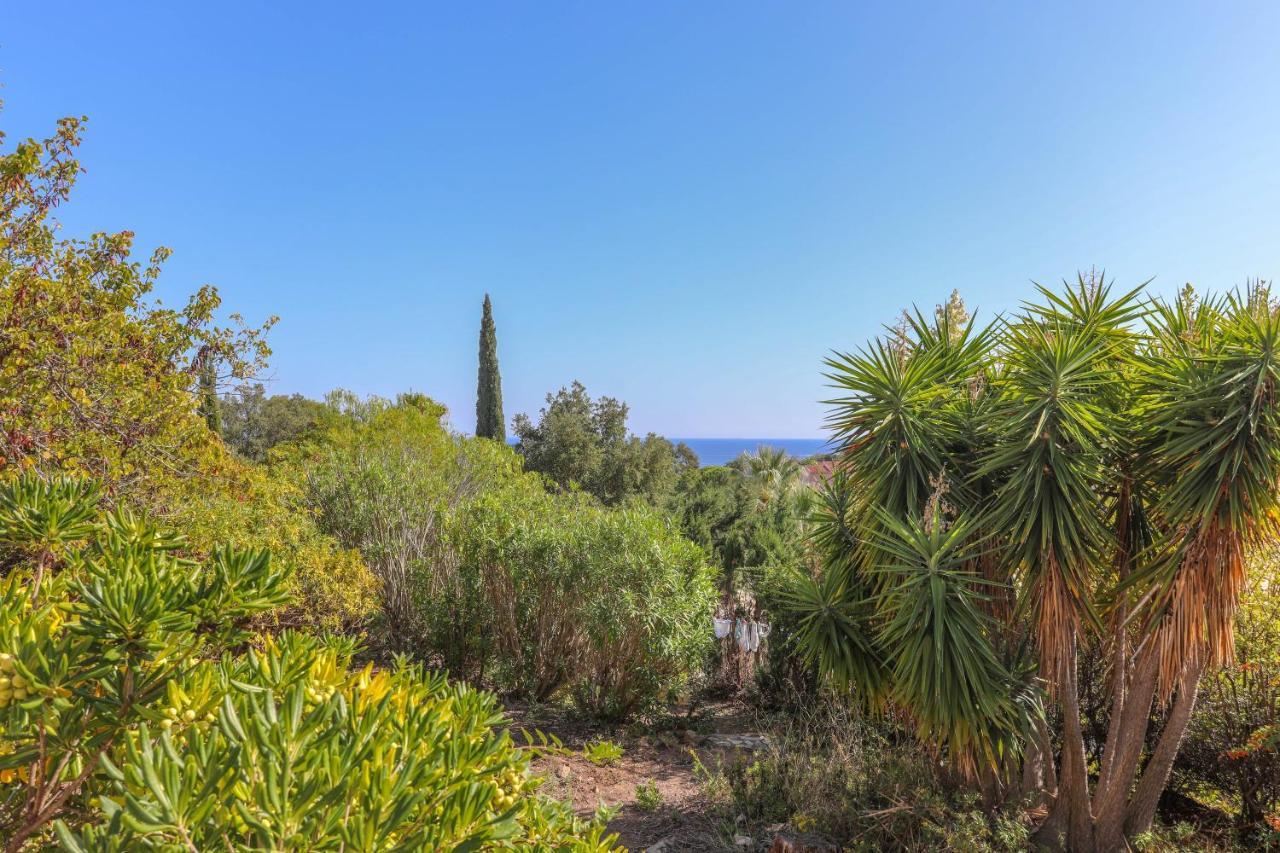 Rez De Avec Jardin Vue